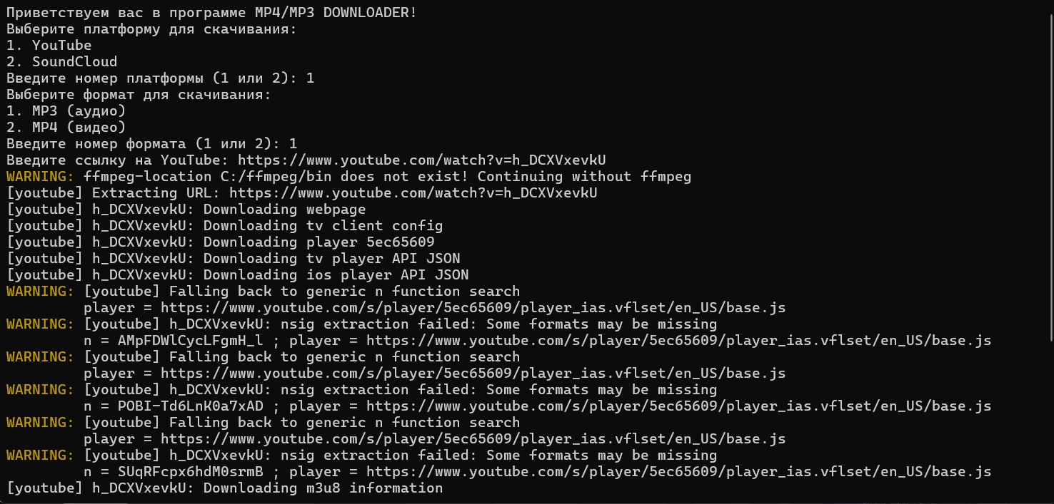 Скриншот работы приложения