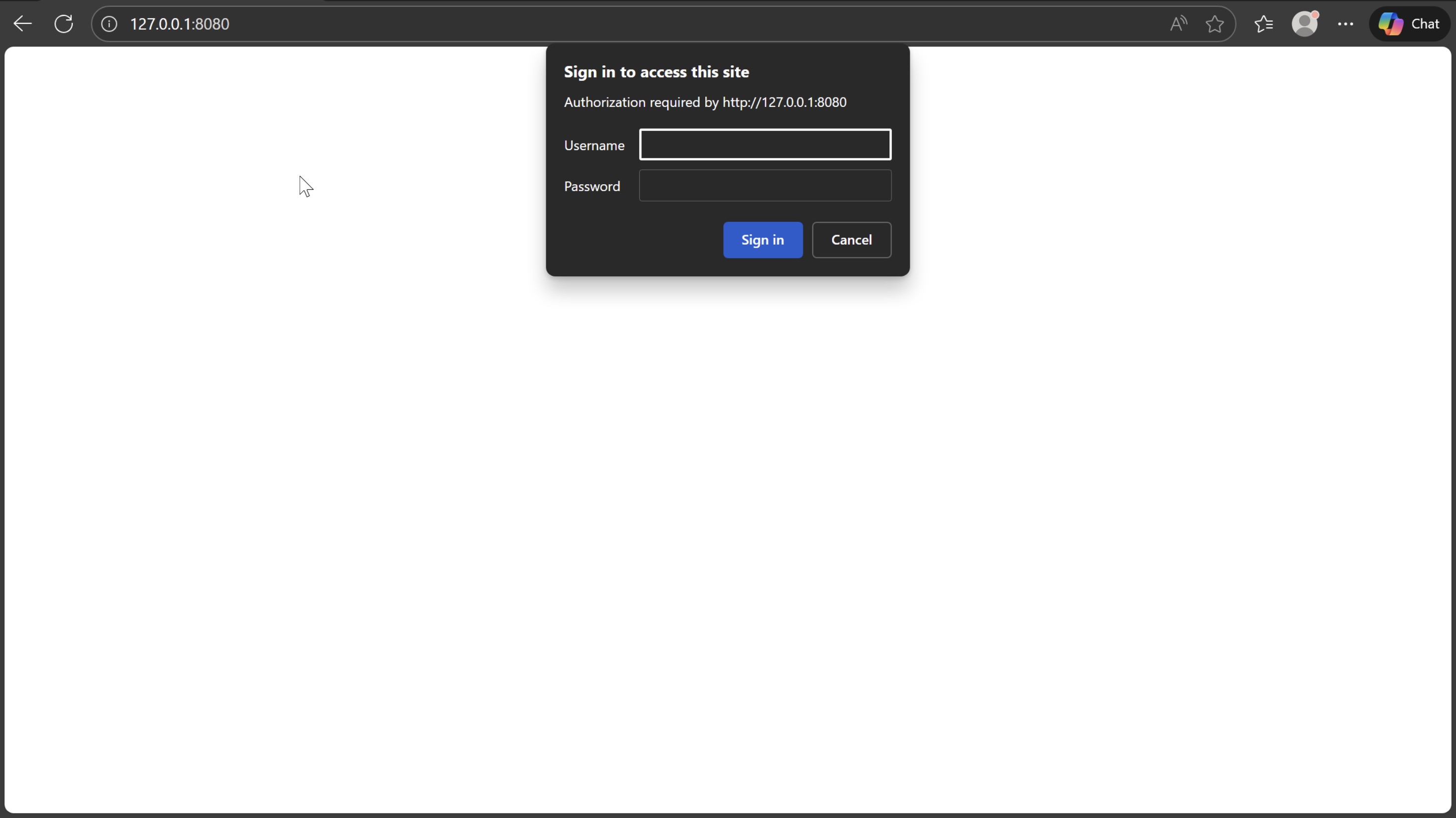 Скриншот работы приложения